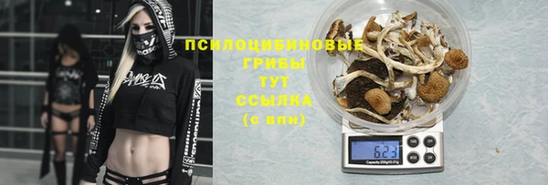 spice Балахна