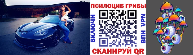 shop официальный сайт Болохово Галлюциногенные грибы Cubensis сколько стоит